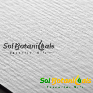 Logo Design by Next Screen Infotech for this project | Design: #12107212