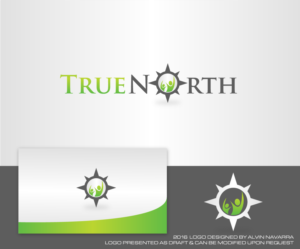 Diseño de Logo por alvinnavarra para este proyecto | Diseño: #11807257