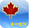 Icon Design by Studio Neuville for monkeyLabs Inc. | Design: #490429