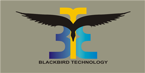 Logo Design by  NARCIS