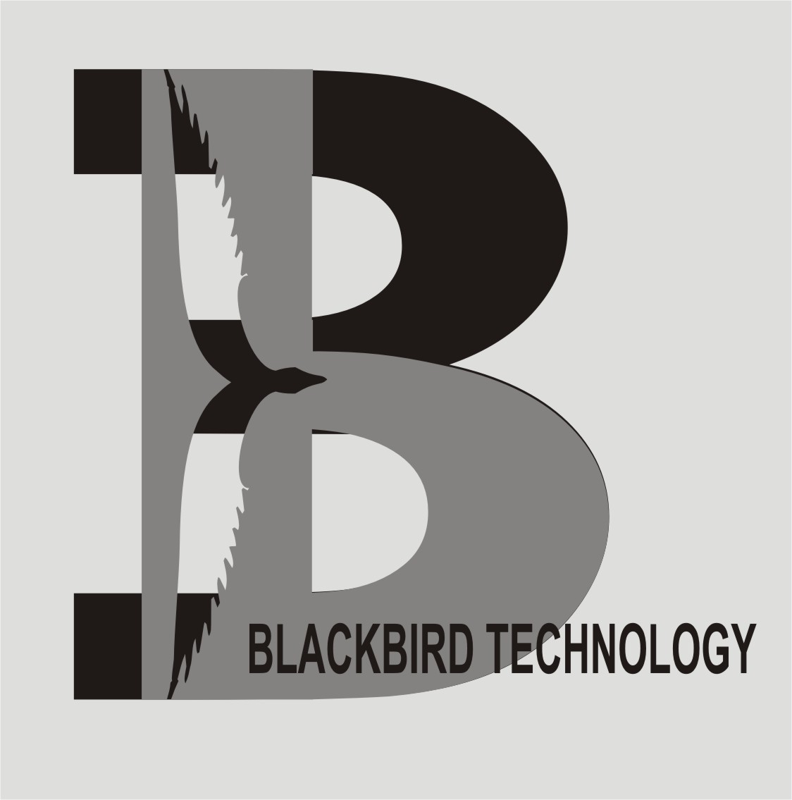 Logo Design by  NARCIS for this project | Design #2398542