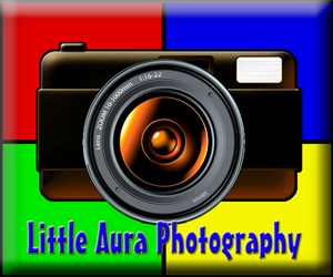 Logo Design by  Chathuranga Pramod for this project | Design #2378199