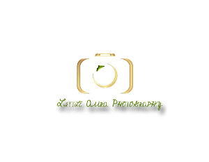 Logo Design by S00017313 for this project | Design: #2397153