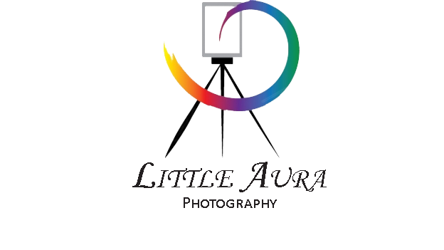 Logo Design by S00017313 for this project | Design #2397177