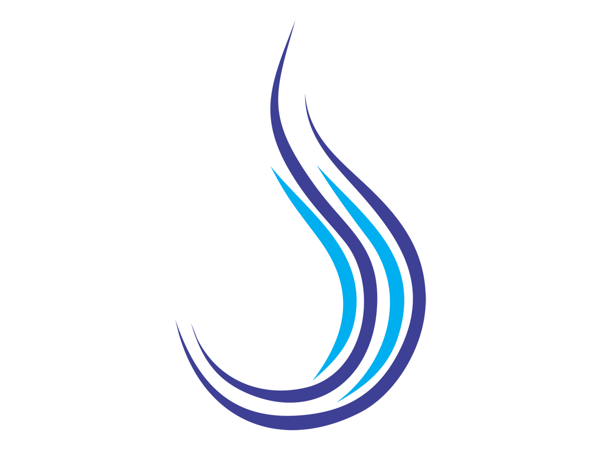 Logo Design by Anthill Studios for Cotton & Company | Design #2349836