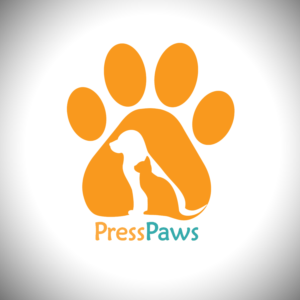 Logo Design by Kyle Ashton