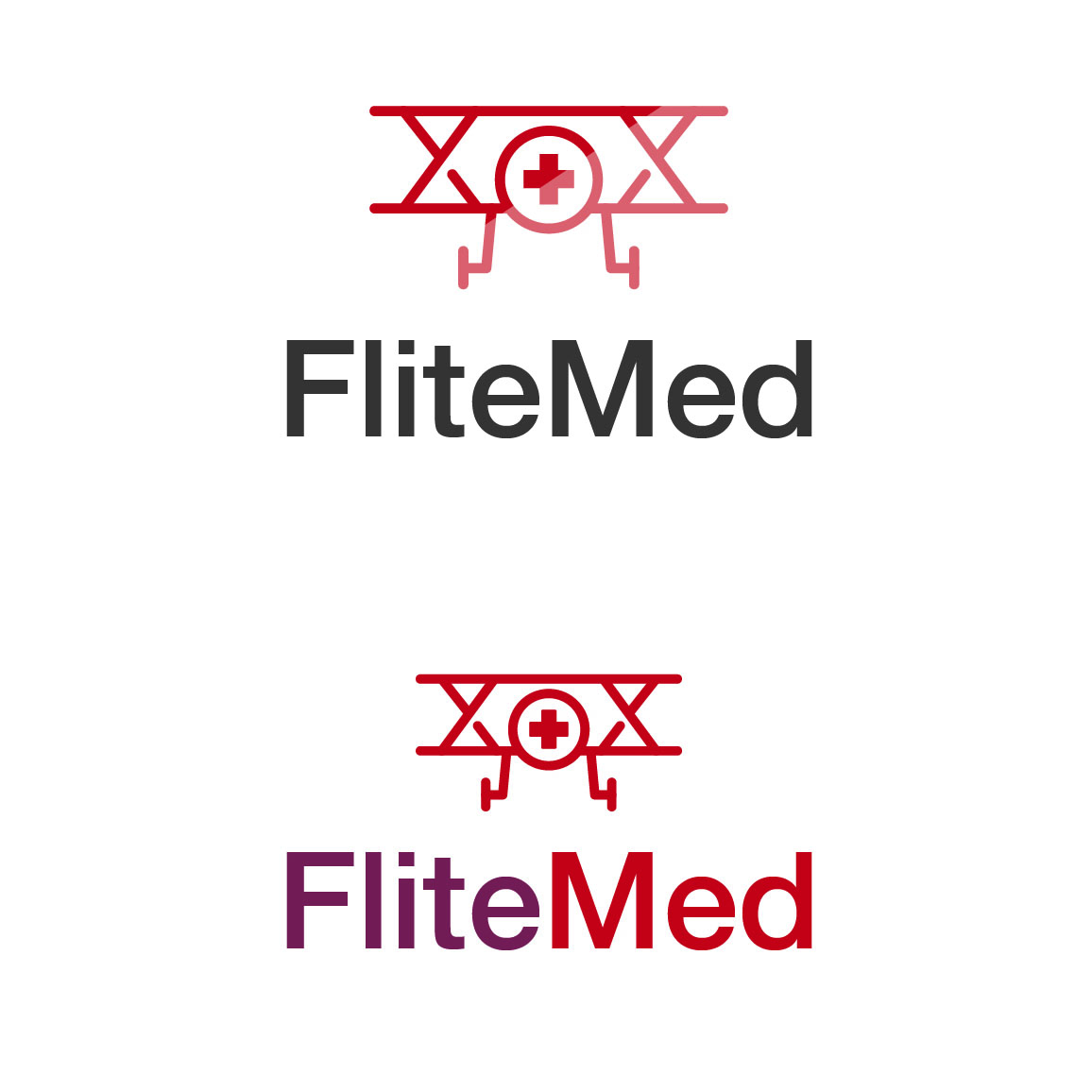 Logo-Design von paillesmt für FliteMed LLC | Design #11774742