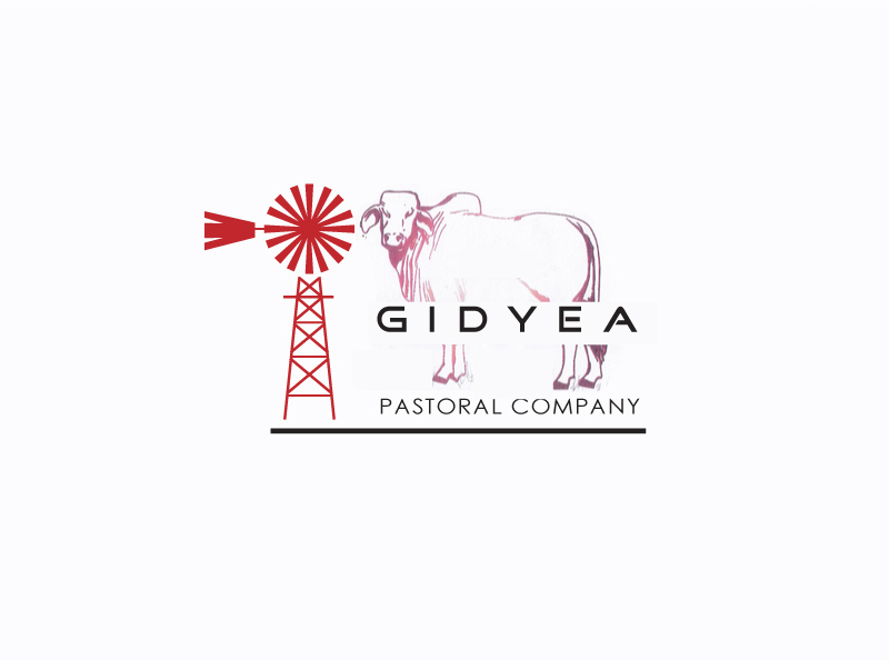 Diseño de Logo por instudio para este proyecto | Diseño #11854996
