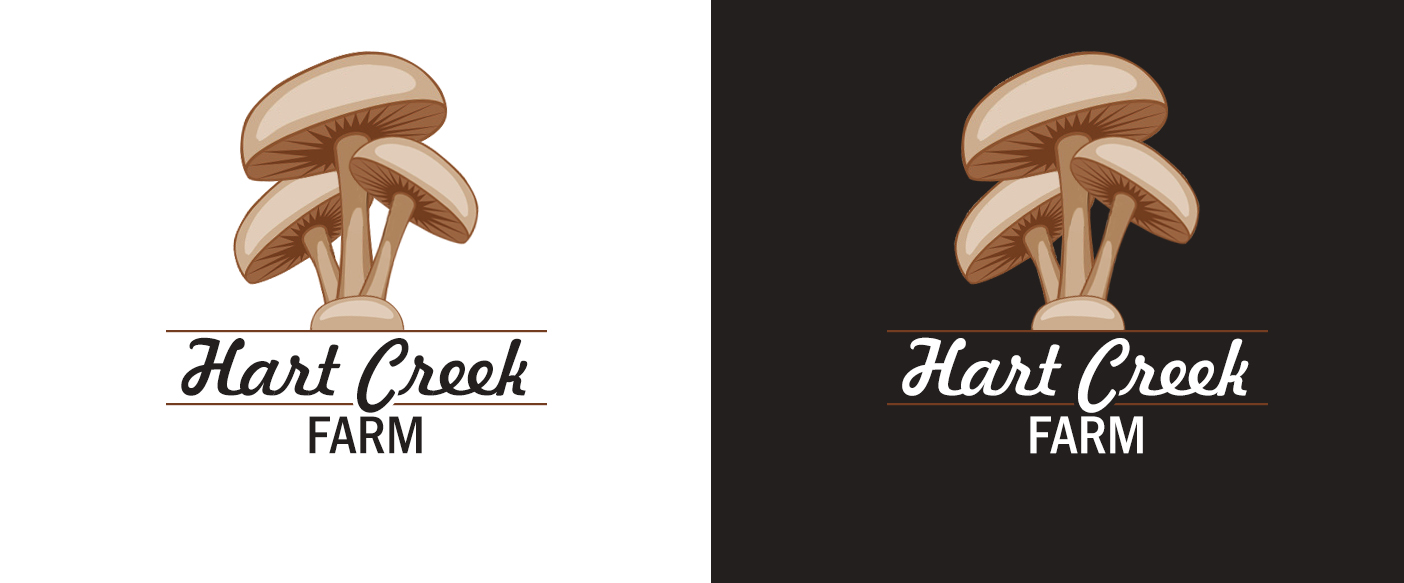 Logo Design by Designing Fever for this project | Design #11795874