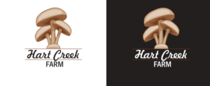 Logo Design by Designing Fever