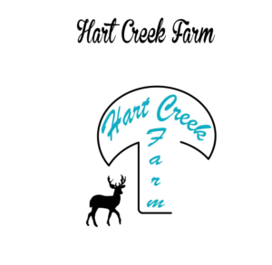 Logo Design by Nilufa Lima for this project | Design #11833419
