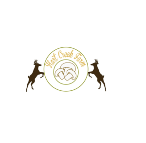 Logo Design by Nilufa Lima for this project | Design: #11833829