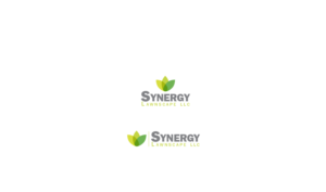 Logo Design by Bytes Creative