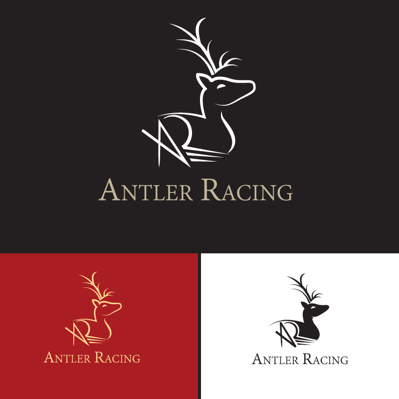 Design de Logo par Aami pour mtbqueen | Design #2398212