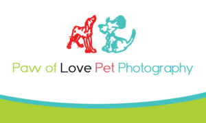 Business Card Design by Munish Kumar for this project | Design: #11785820