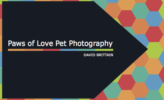 Business Card Design by darecreative for this project | Design #11796039