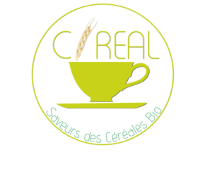 Diseño de Logo por AandT