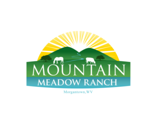Logo Design by Jay Design