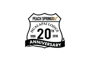 20th Anniversary-  1996-2016 | Logo Design by Digihex
