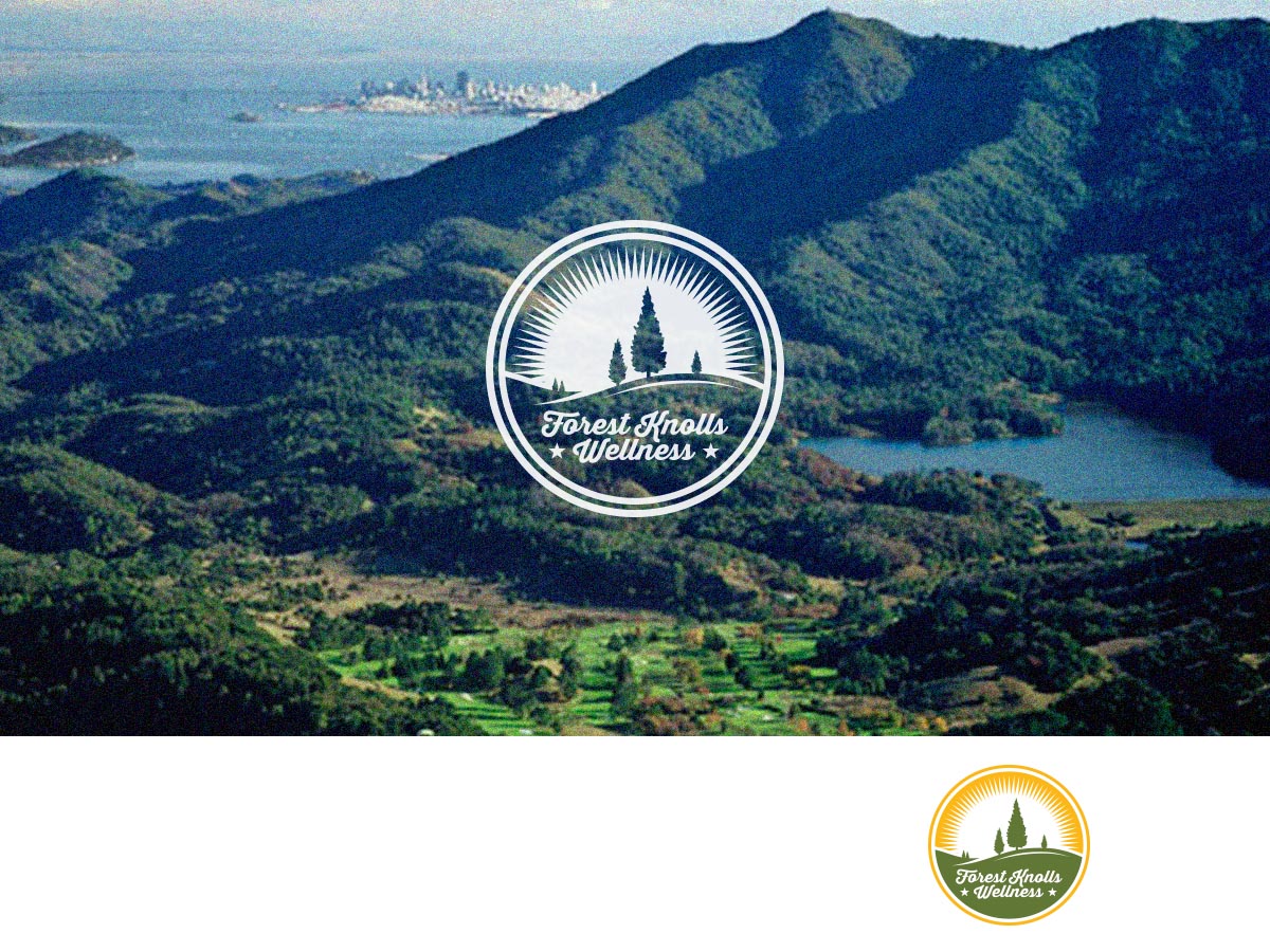 Logo Design by ArtTank for CBD Professionals | Design: #11816021