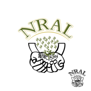Logo Design by freelancerrashed