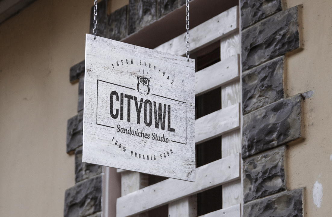 Logo Design by GLDesigns for CITY OWL | Design #11981338