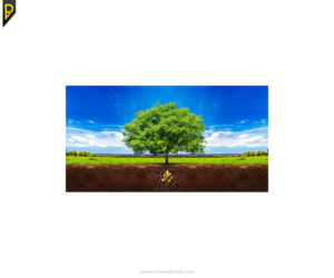 Graphic Design by poisonvectors for this project | Design #11814276