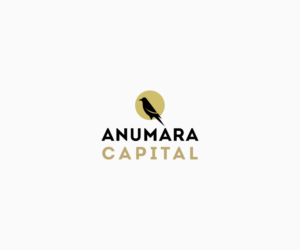 Diseño de Logo por luiz otavio I DESIGN para Anumara Capital Partners | Diseño: #11804551