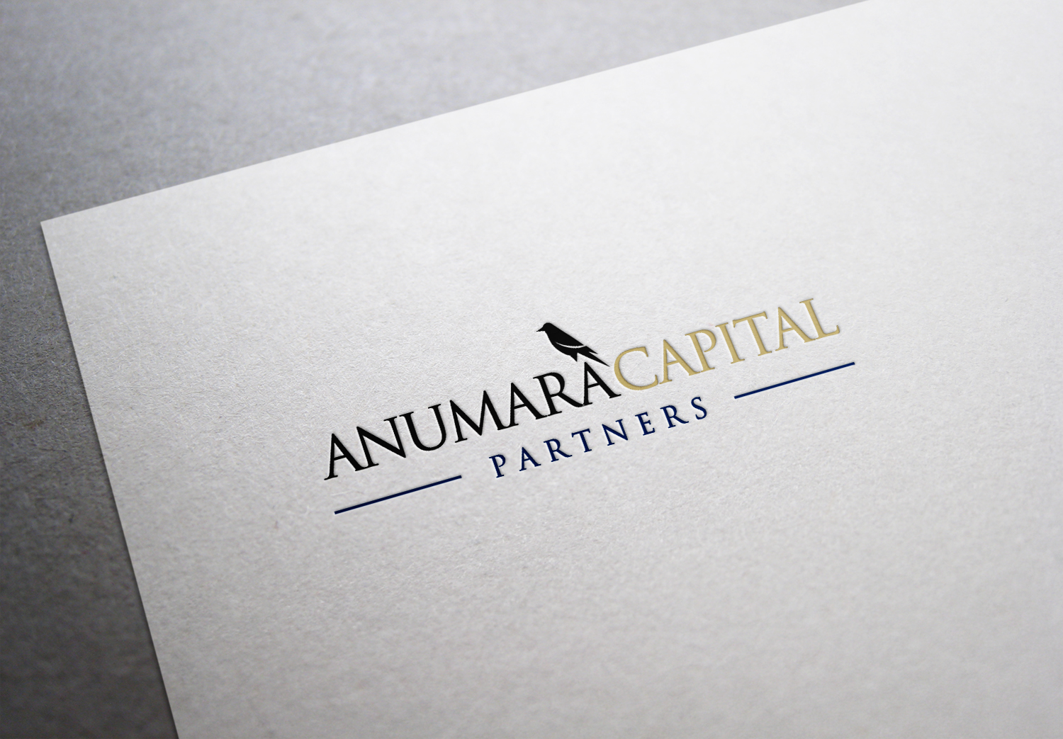 Logo Design by luiz otavio I DESIGN for Anumara Capital Partners | Design #11805019
