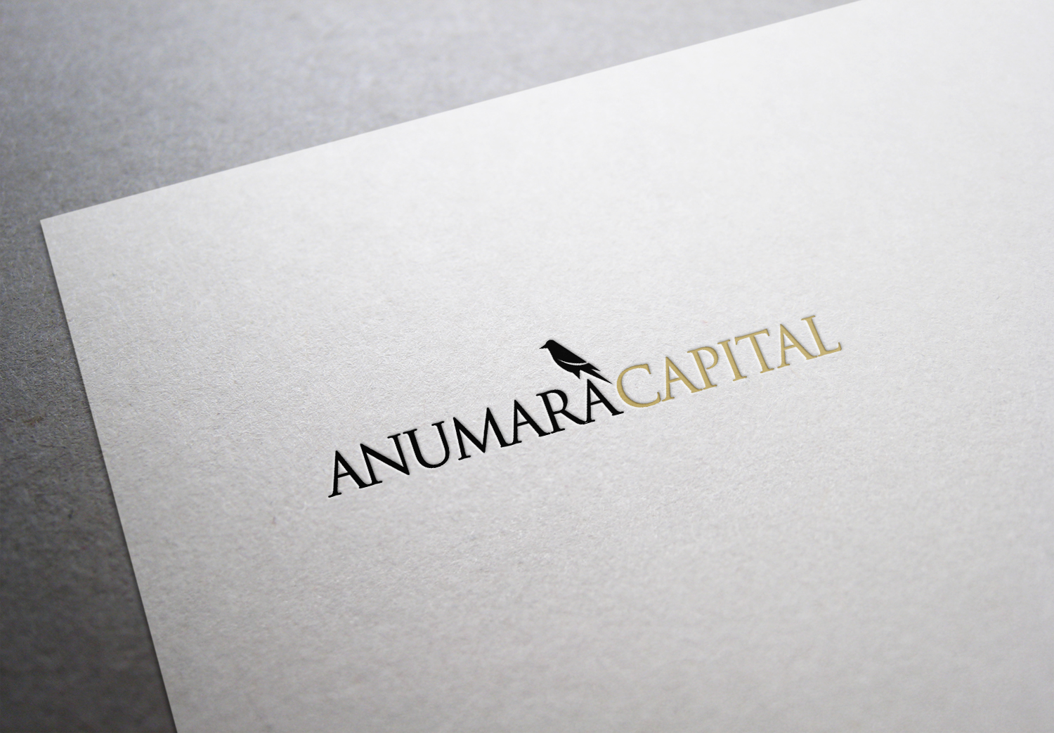 Logo Design by luiz otavio I DESIGN for Anumara Capital Partners | Design #11805038