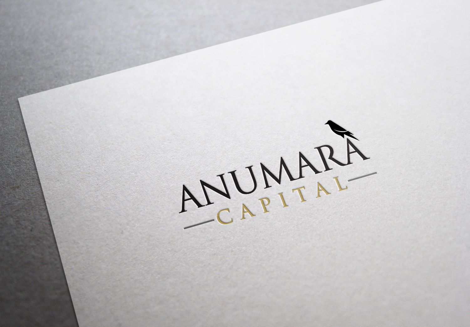 Diseño de Logo por luiz otavio I DESIGN para Anumara Capital Partners | Diseño: #11805476