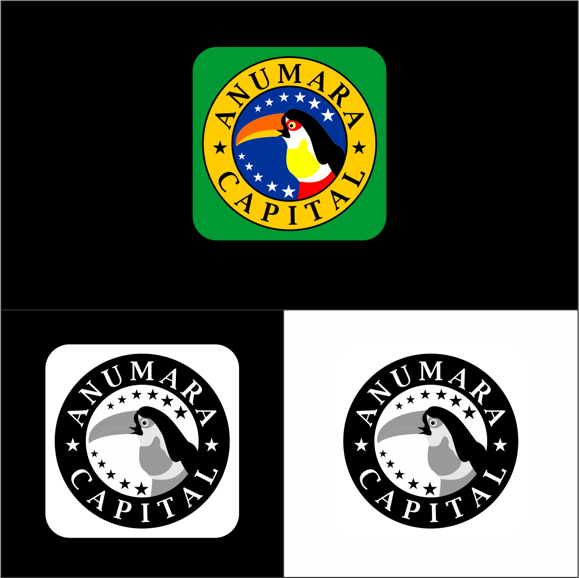 Diseño de Logo por dezign412 para Anumara Capital Partners | Diseño #11805520