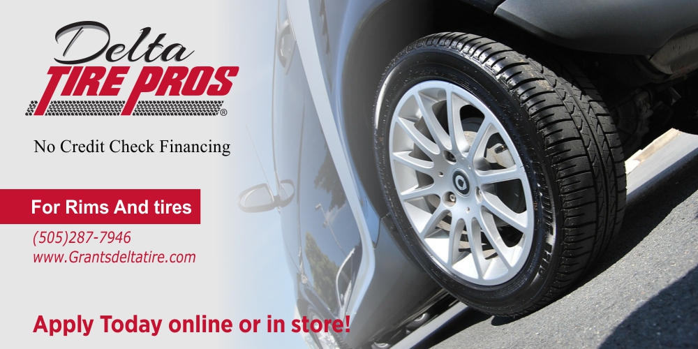 Colorful, Upmarket, Shop Signage Design for Delta Tire Pros by Hub Of Design Design 11857617