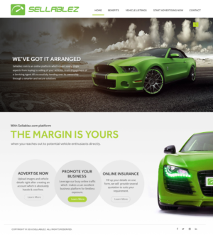 Web Design by Xclusive Designer for Smart Hosting & Design Services | Design #11887531