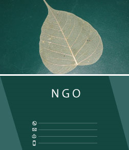 Business Card Design by Impressive Solutions for Banyan Learning Tree | Design: #11813681
