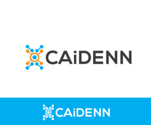 CAiDENN | Logo Design by renderman