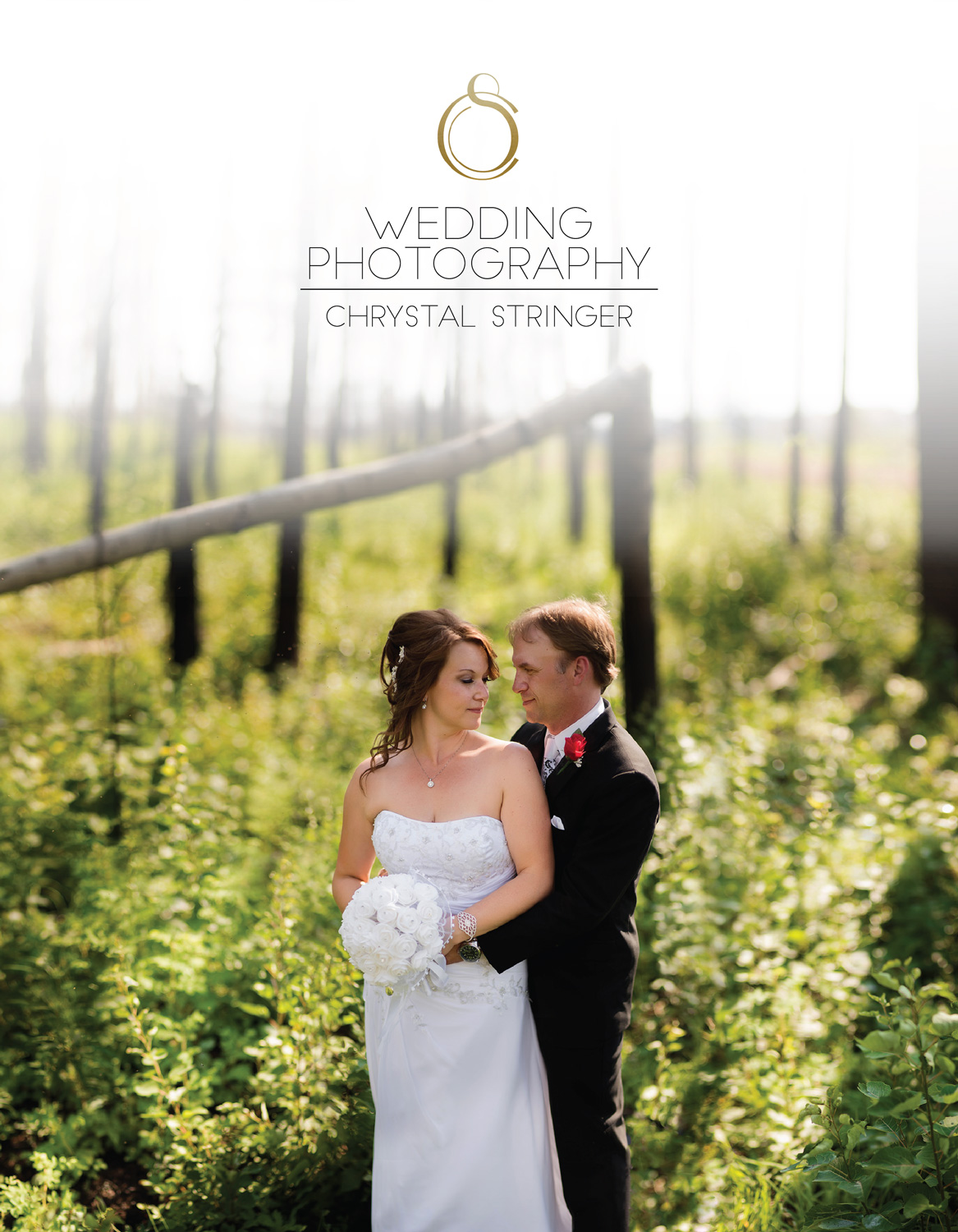 Diseño Publicitario por Redz Army para Chrystal Stringer Photography | Diseño #11804909