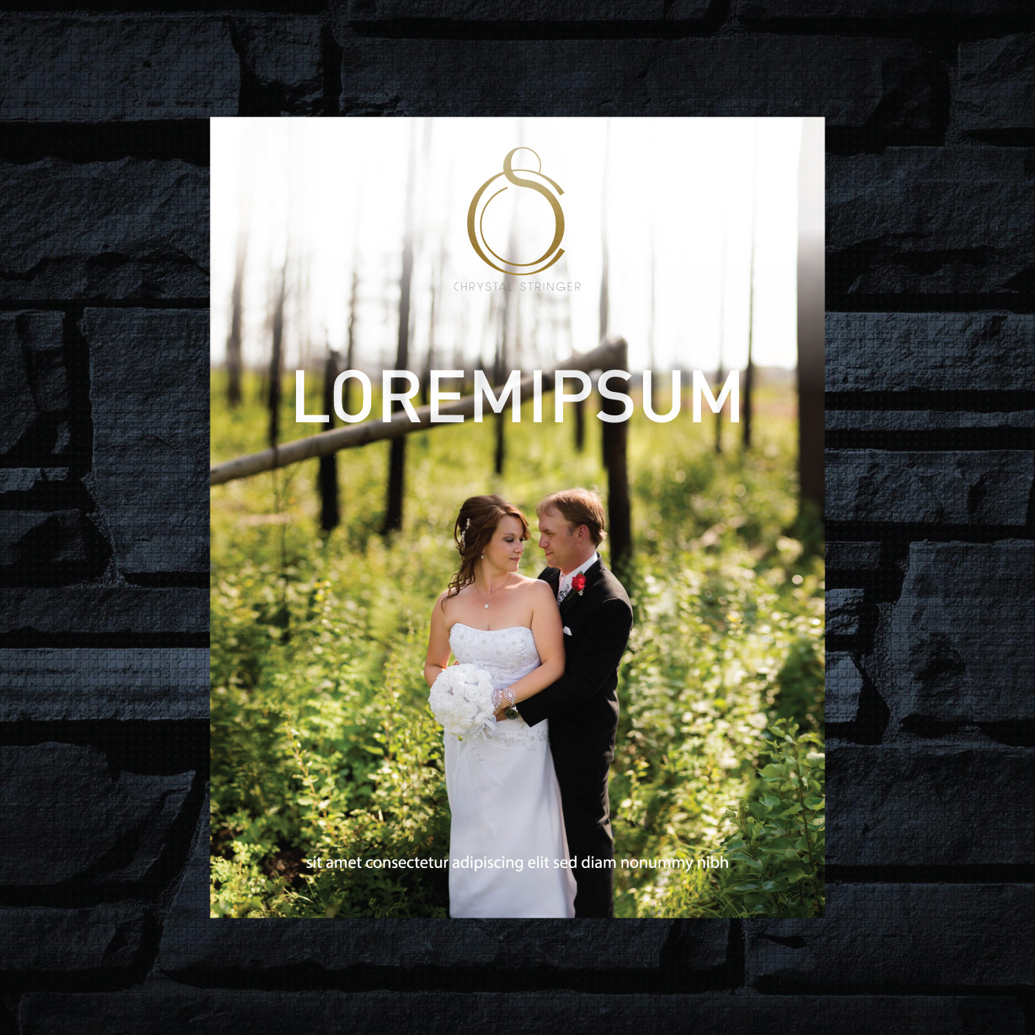 Advertisement Design by GMWIRE for Chrystal Stringer Photography | Design #11843832