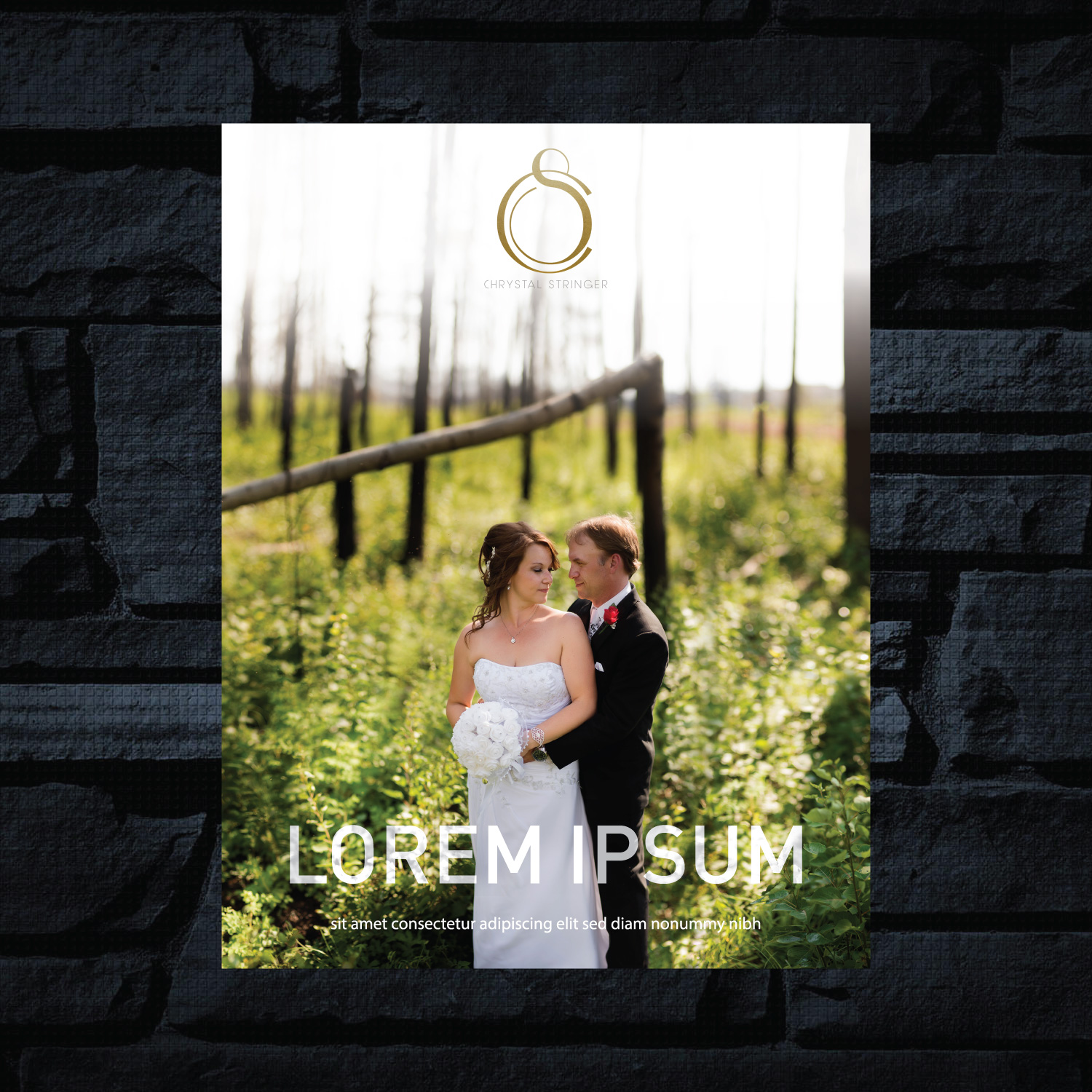 Advertisement Design by GMWIRE for Chrystal Stringer Photography | Design #11843833