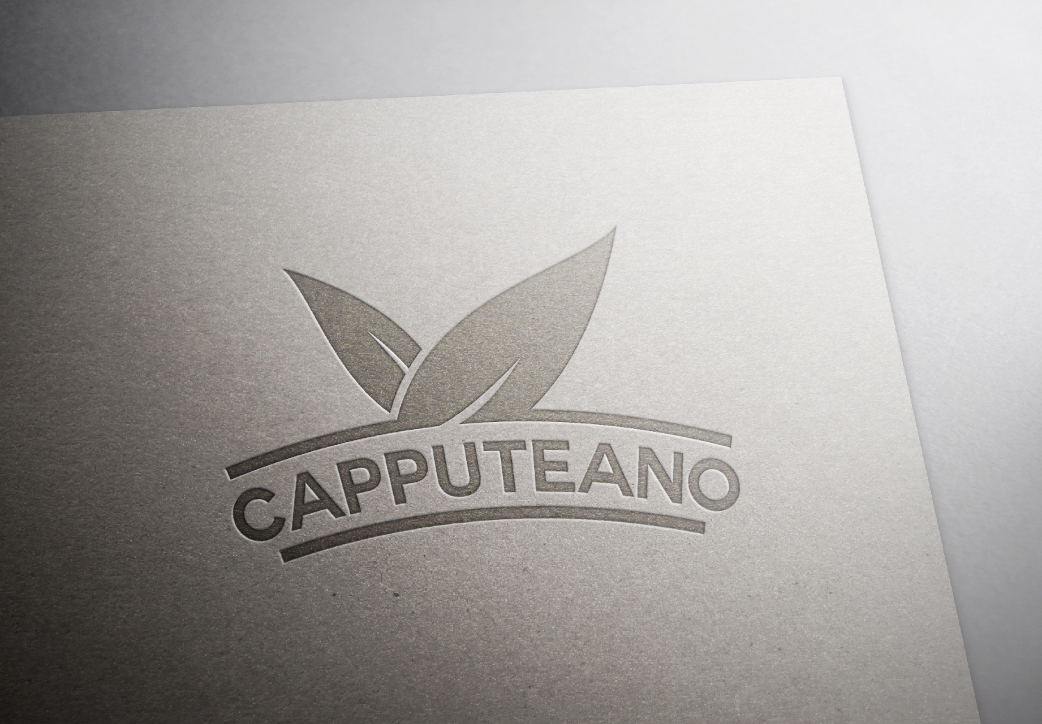 Logo Design by Alaa for this project | Design #11909425