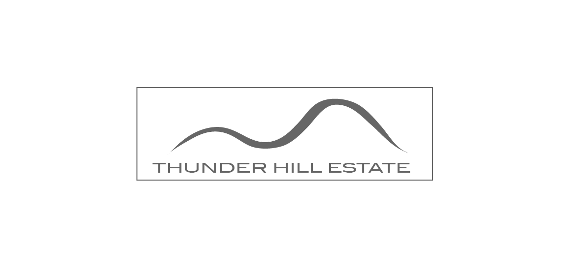 Logo Design by jizzy123 for Thunder Hill Pty Ltd | Design: #11836935