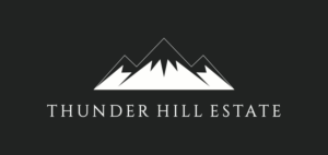 Logo Design by Vyush