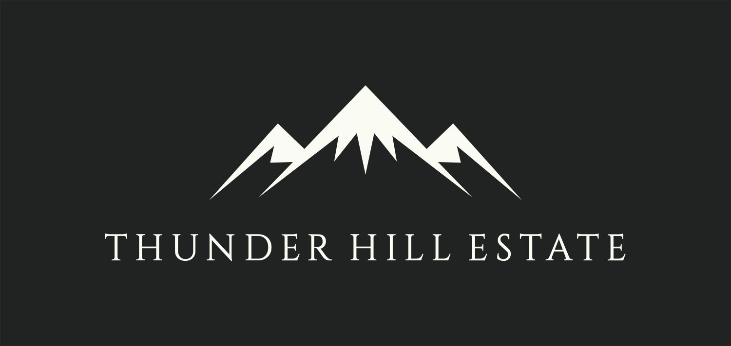 Logo Design by Vyush for Thunder Hill Pty Ltd | Design #11823841