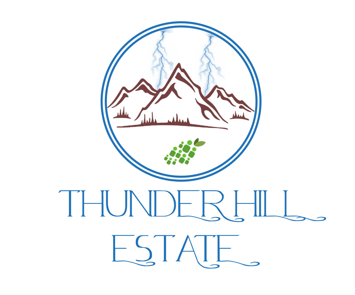Logo Design by Eminents Infosoft for Thunder Hill Pty Ltd | Design #11837263