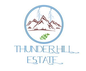 Logo Design by Eminents Infosoft for Thunder Hill Pty Ltd | Design: #11837263