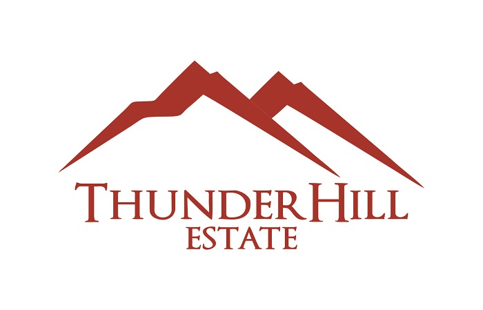 Logo Design by OZStudio for Thunder Hill Pty Ltd | Design #11856254