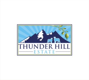 Logo Design by nutu for Thunder Hill Pty Ltd | Design: #11820858