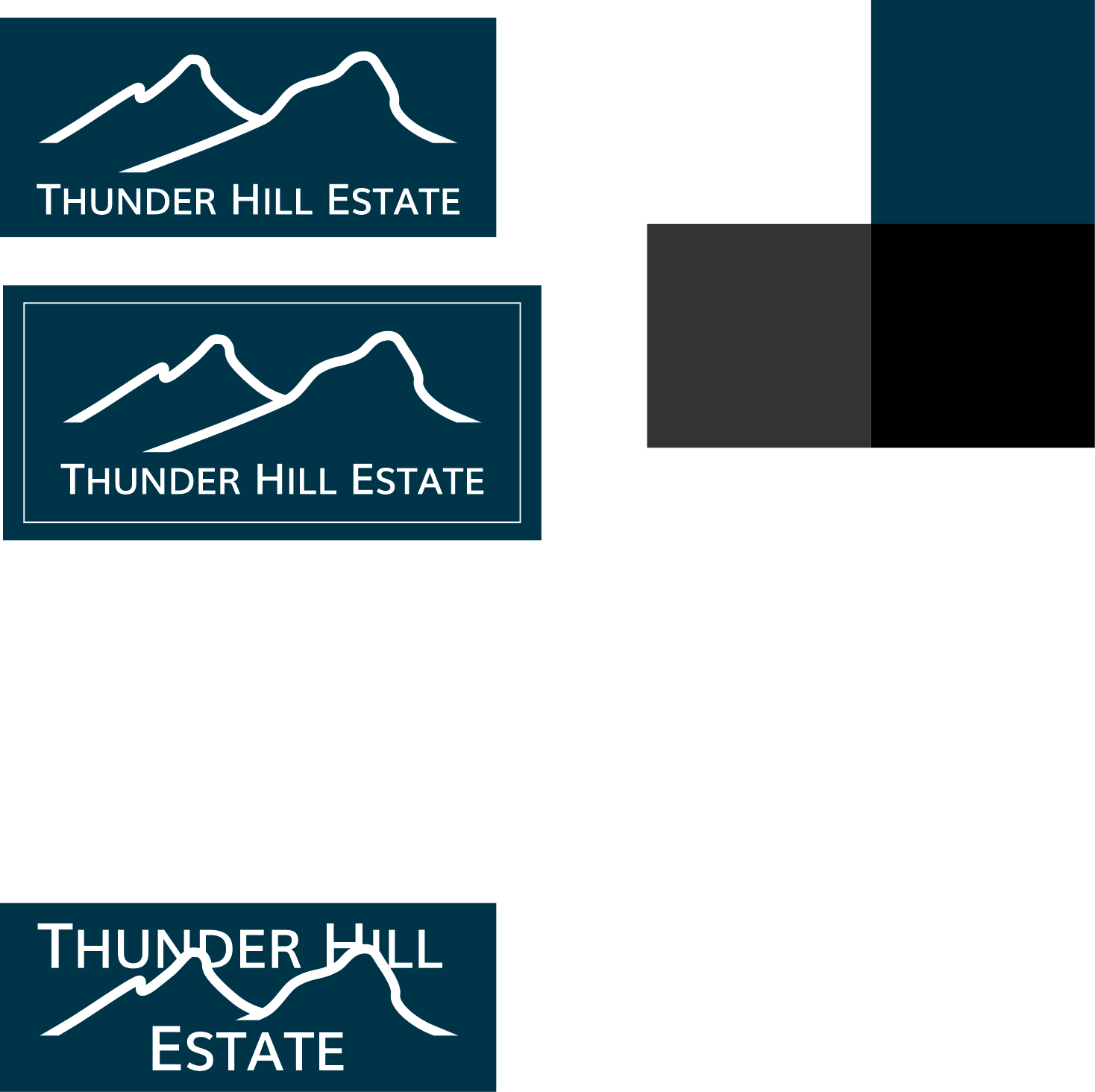 Diseño de Logo por Rod Christensen para Thunder Hill Pty Ltd | Diseño #11862974