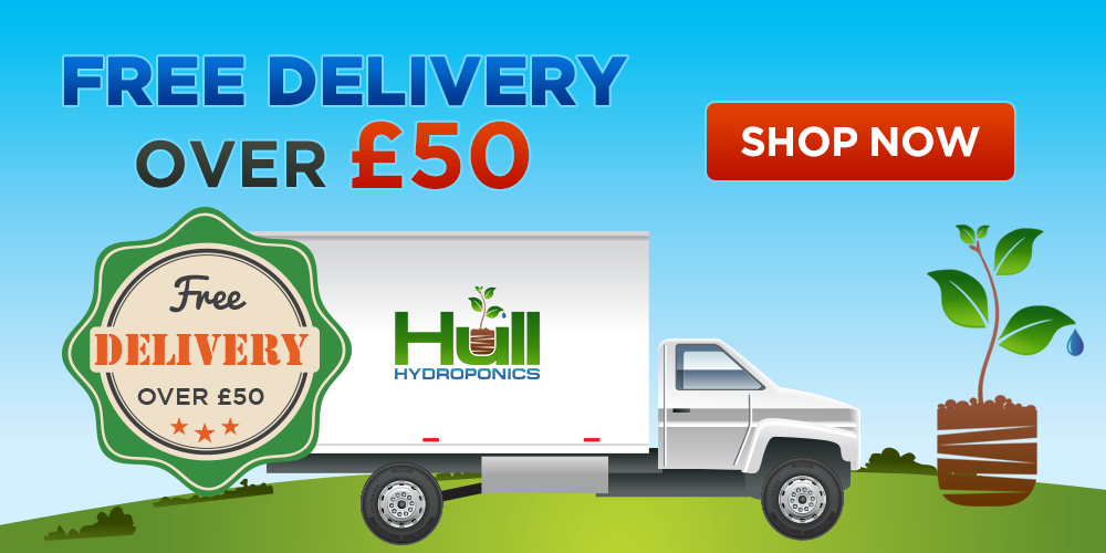 Web Design by yadunath for this project | Design #11835507