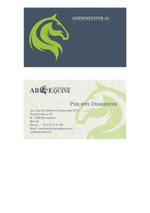 Business Card Design by Vladimir